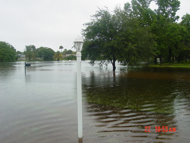 Yorktowne_Pond_4.JPG