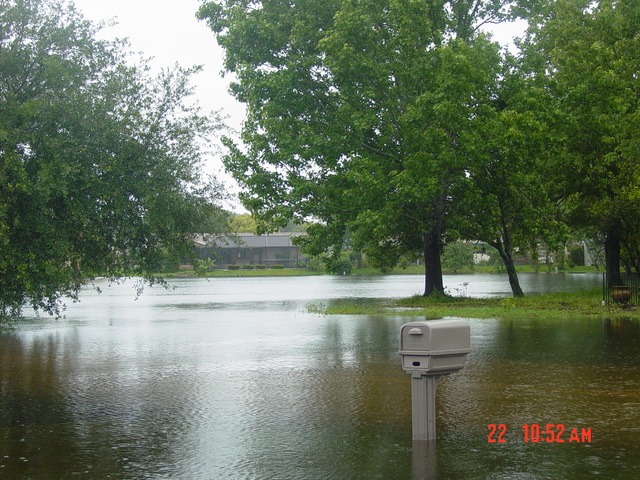 Yorktowne_Pond_3.JPG