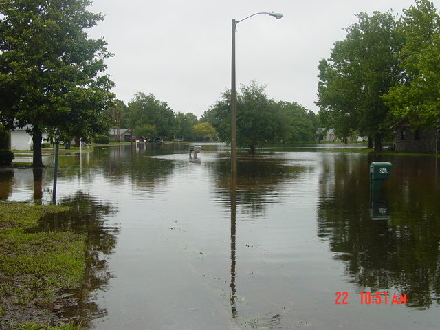 Yorktowne_Pond_2.JPG