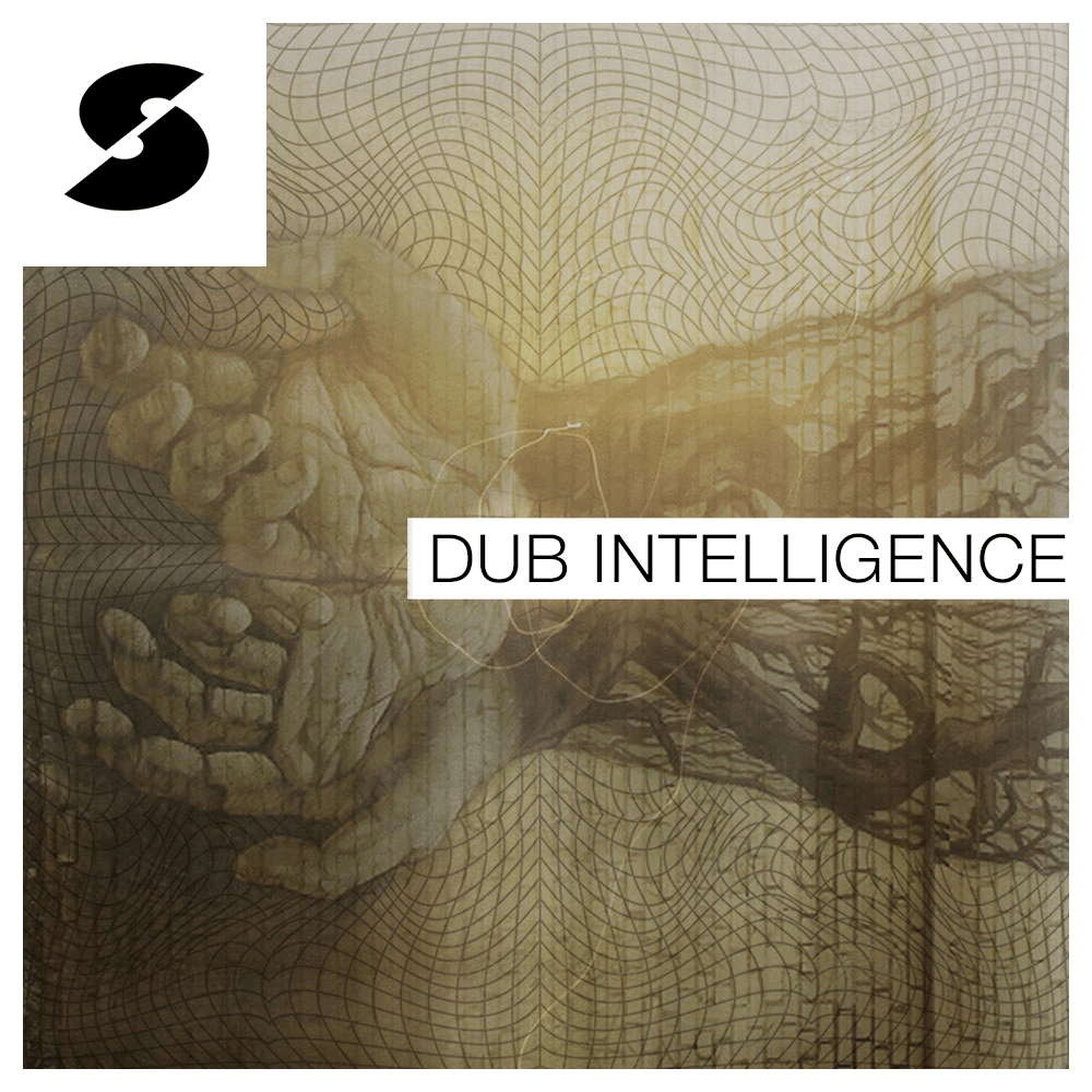 Ipman Presents: Dub Intelligence