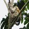 1001388_1_thumbnail