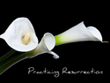 Practicingresurrection_slide