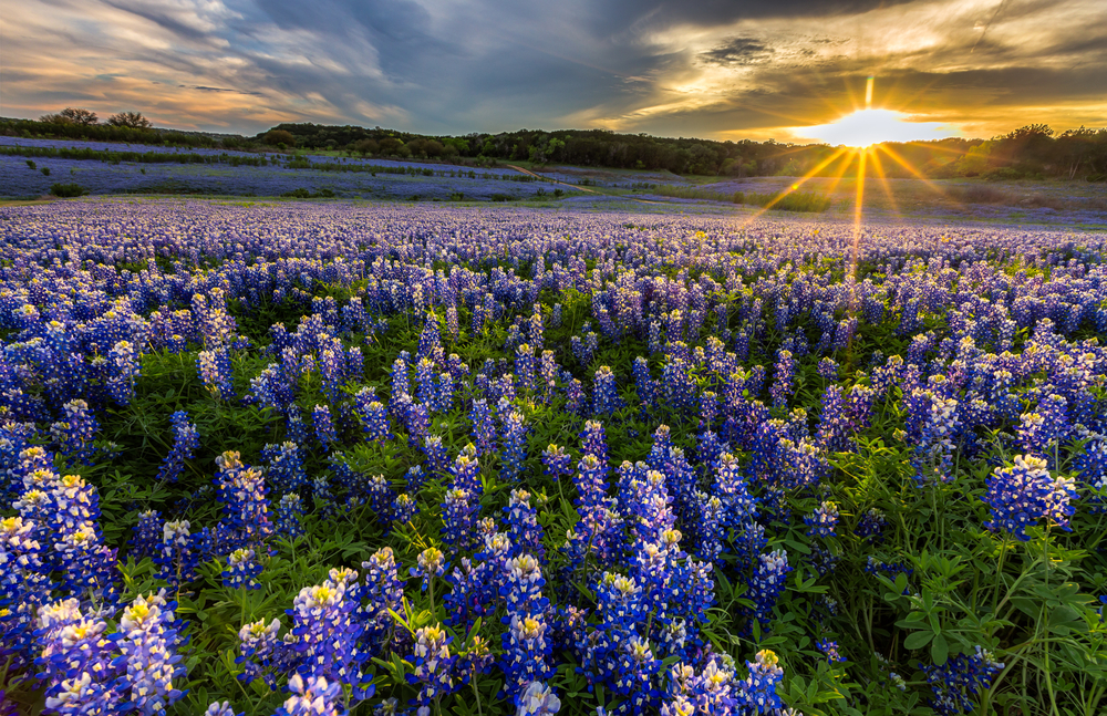 10 Gorgeous Places to Photograph in the Spring | Nations Photo Lab