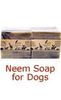 Neem Soap for Dog Allergies