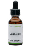 Fresh Dandelion Root (Taraxacum officinale)