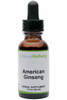 American Ginseng (Panax quinquefolium)