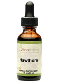Hawthorn Berry (Crataegus laevigata)