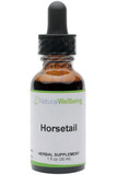 Horsetail (Equisetum arvense)