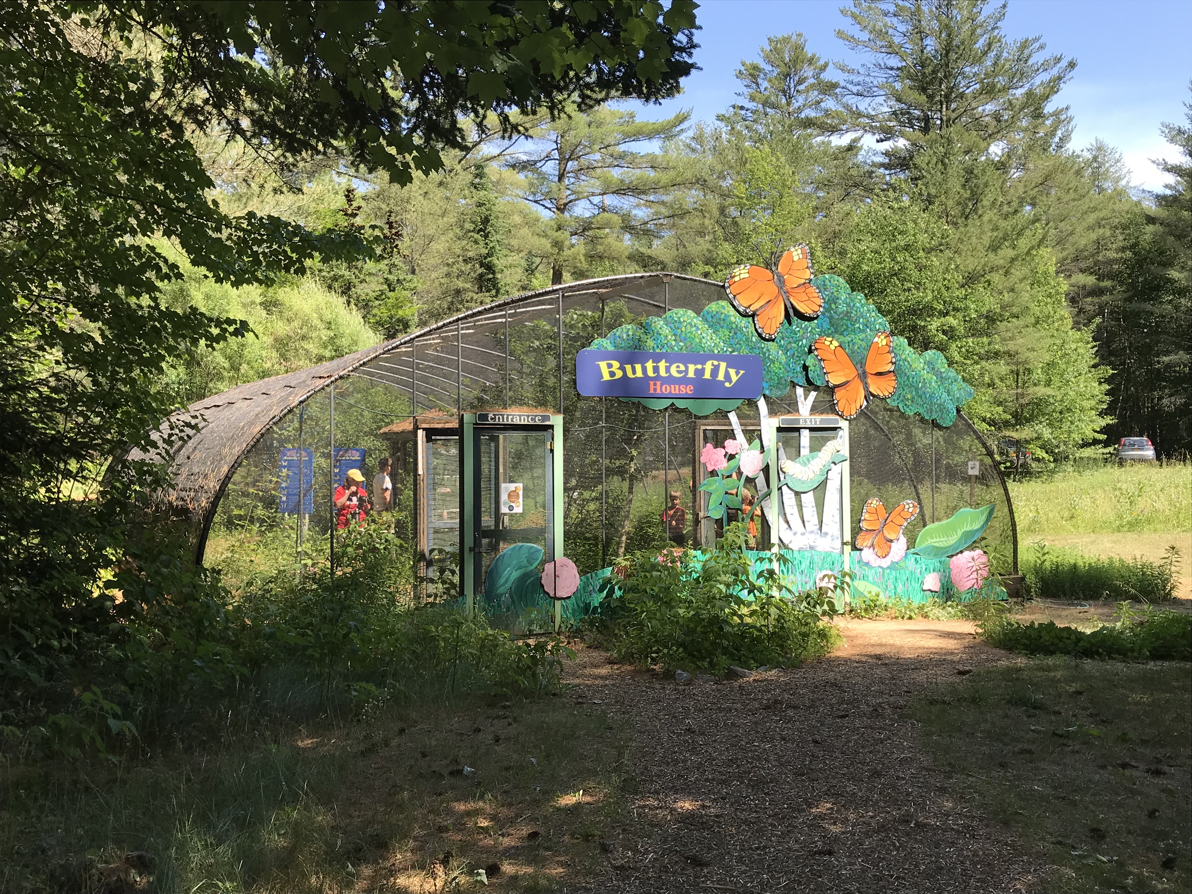 Celebrate 25 years of the Native Butterfly House News, Sports, Jobs