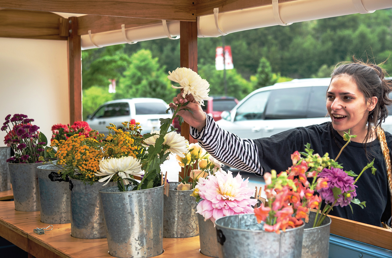 News News, Sports, Jobs Altoona Mirror