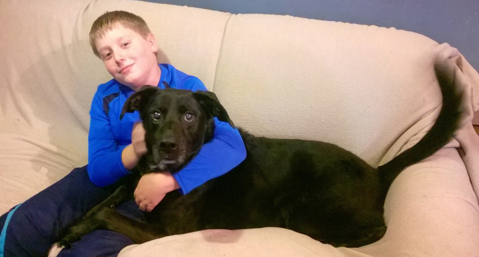 Dog gets necessary medical attention thanks to HELP for Pets News