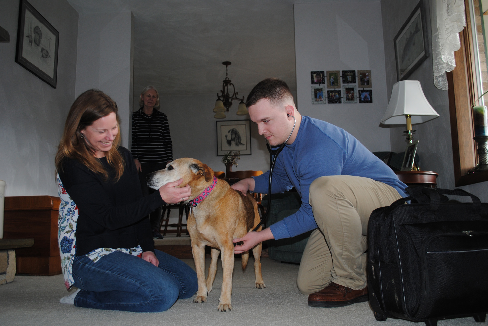 Happy Paws sends a vet to your door News, Sports, Jobs The Express