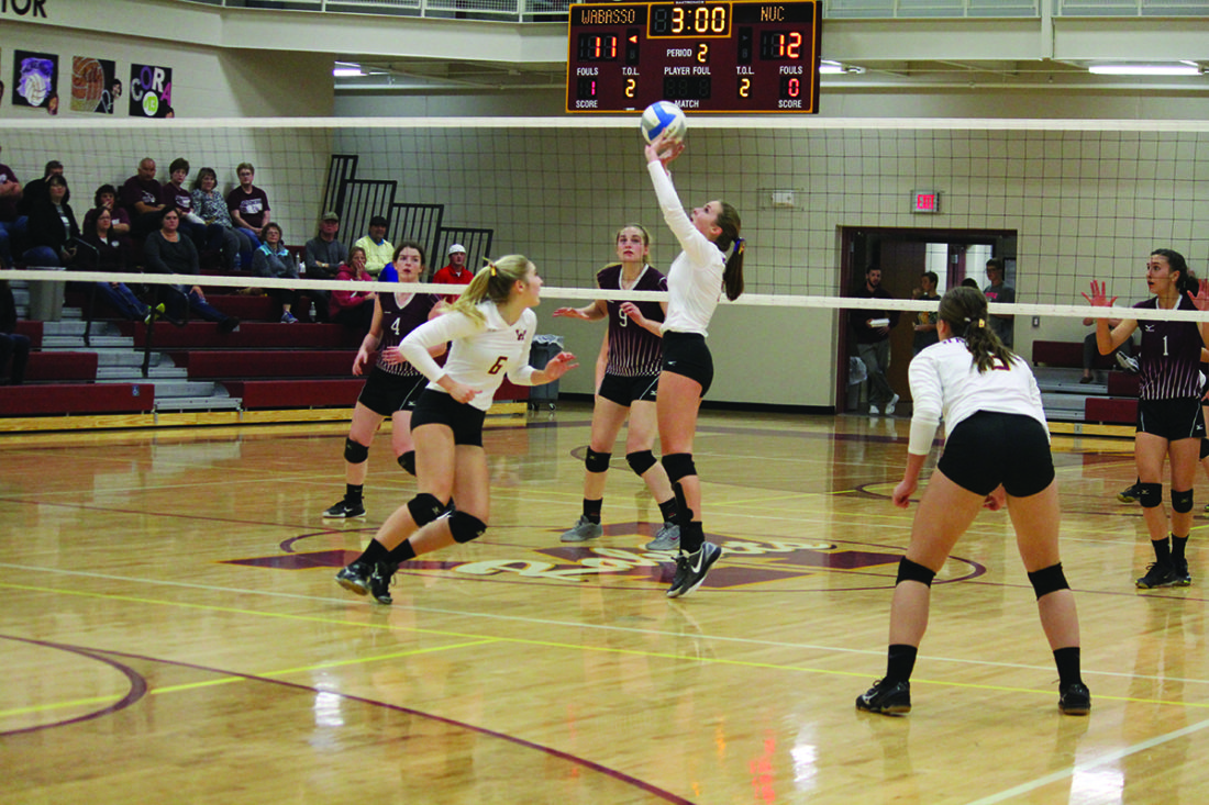 PREP VOLLEYBALL Rabbits take down New Ulm Cathedral in sweep News