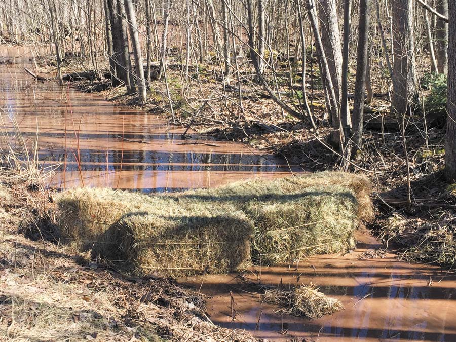 State agencies address erosion concerns at Porcupine Mountains Wilderness State Park News