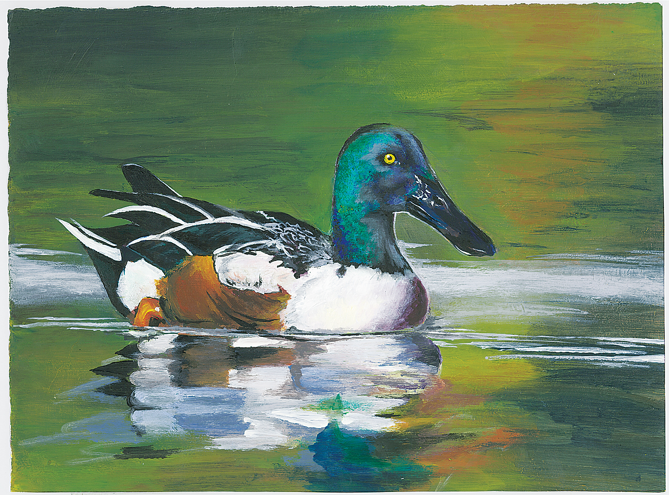 Junior Duck Stamp winner announced News, Sports, Jobs Minot Daily News