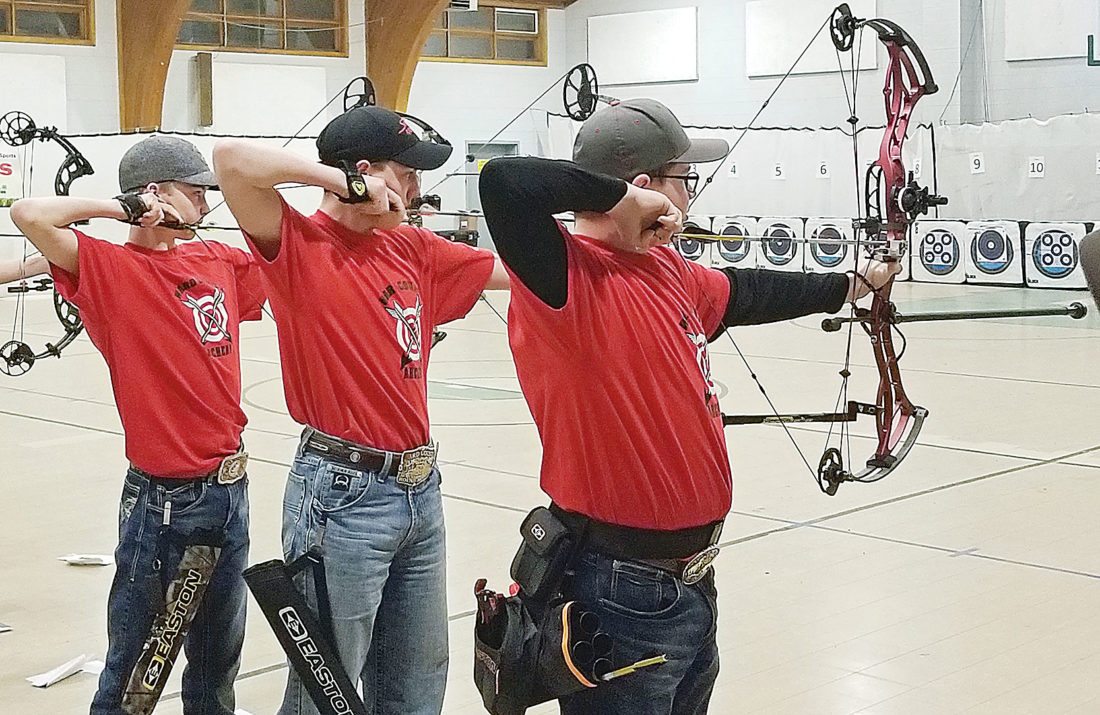Ward County 4H archers compete at state archery match in Edgeley