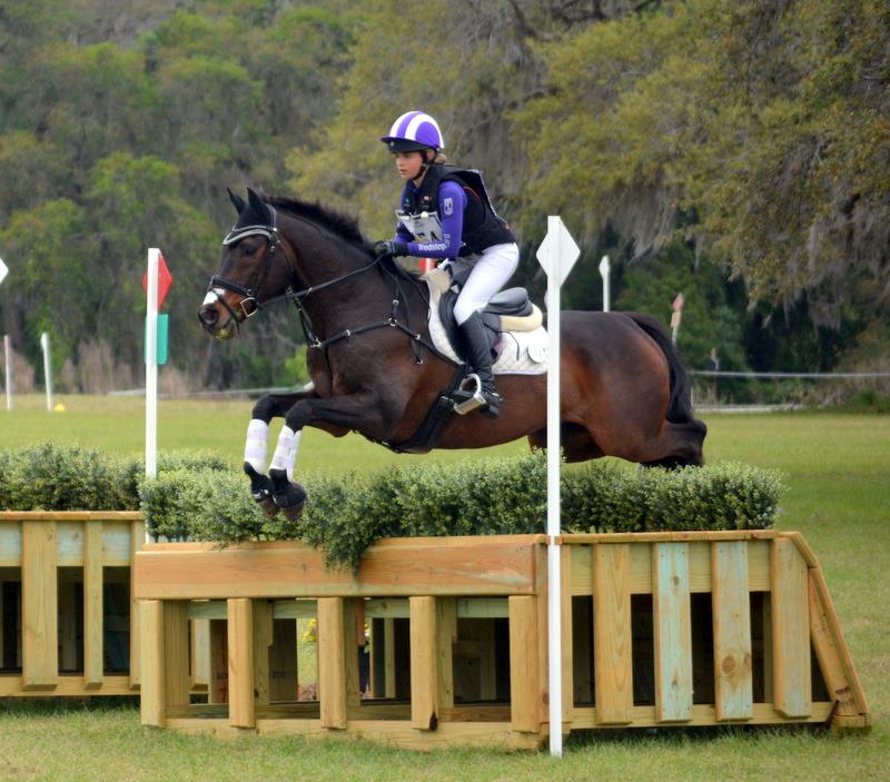 Hollis girl earns spot in national equestrian program News, Sports, Jobs The Nashua Telegraph
