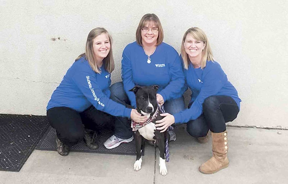 WVUP students to hold Humane Society fundraiser News, Sports, Jobs