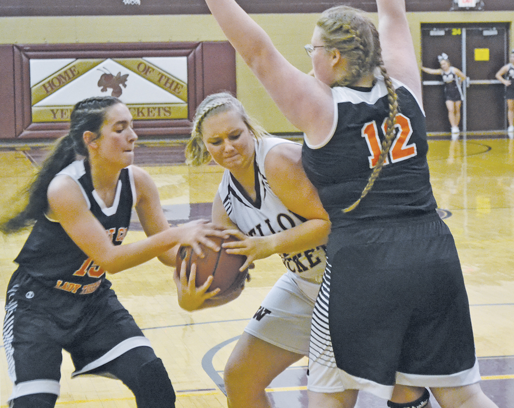 Williamstown Yellowjackets down Wirt County by 60 News, Sports, Jobs