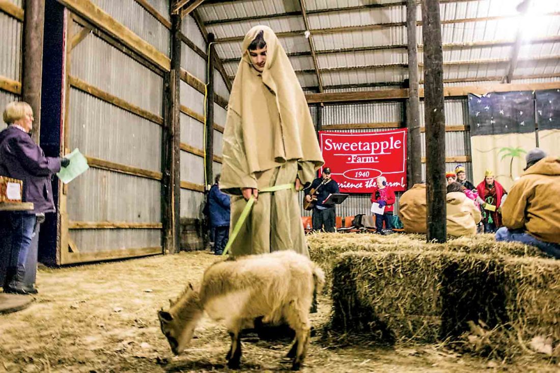 Sweetapple Farm live nativity begins today News, Sports, Jobs News