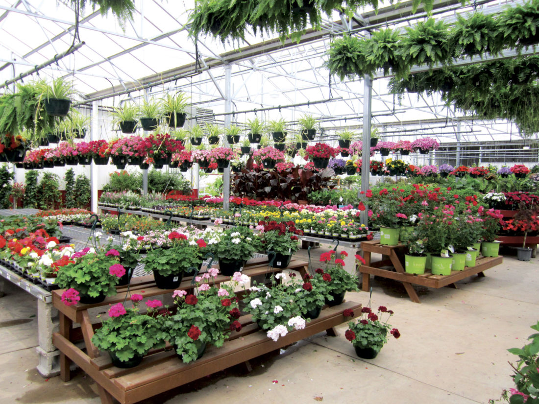 Belpre mayor looks back on year of growth News, Sports, Jobs News and Sentinel