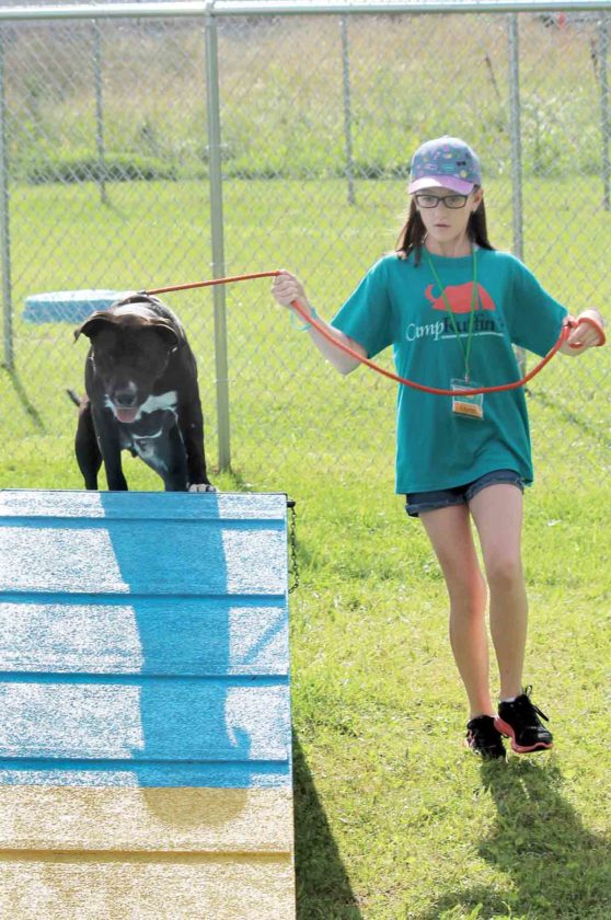 Youths care for dogs at Humane Society of Parkersburg’s Camp Ruffin’ It