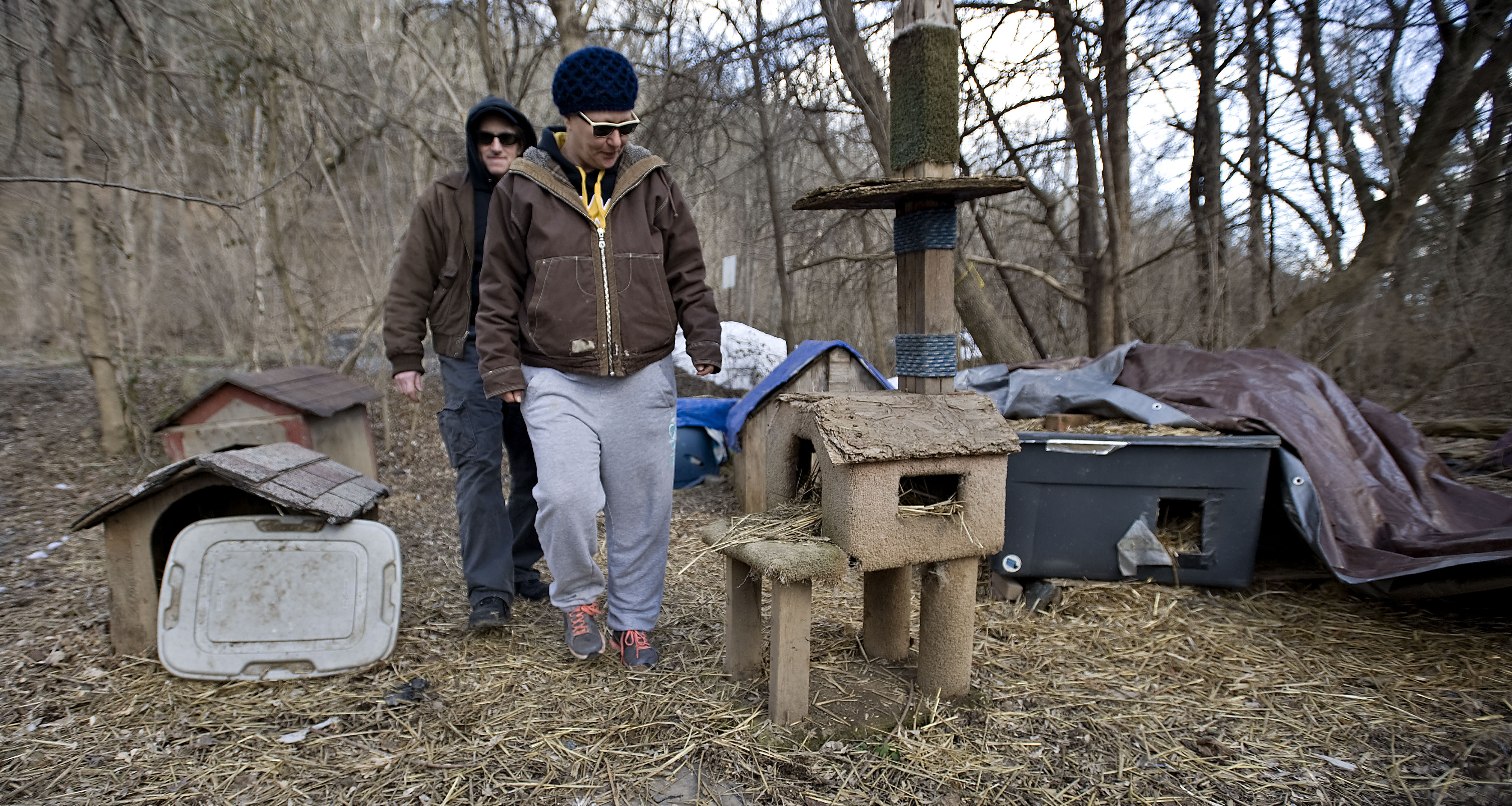 Cat colony facing the end News, Sports, Jobs The Northern Virginia Daily