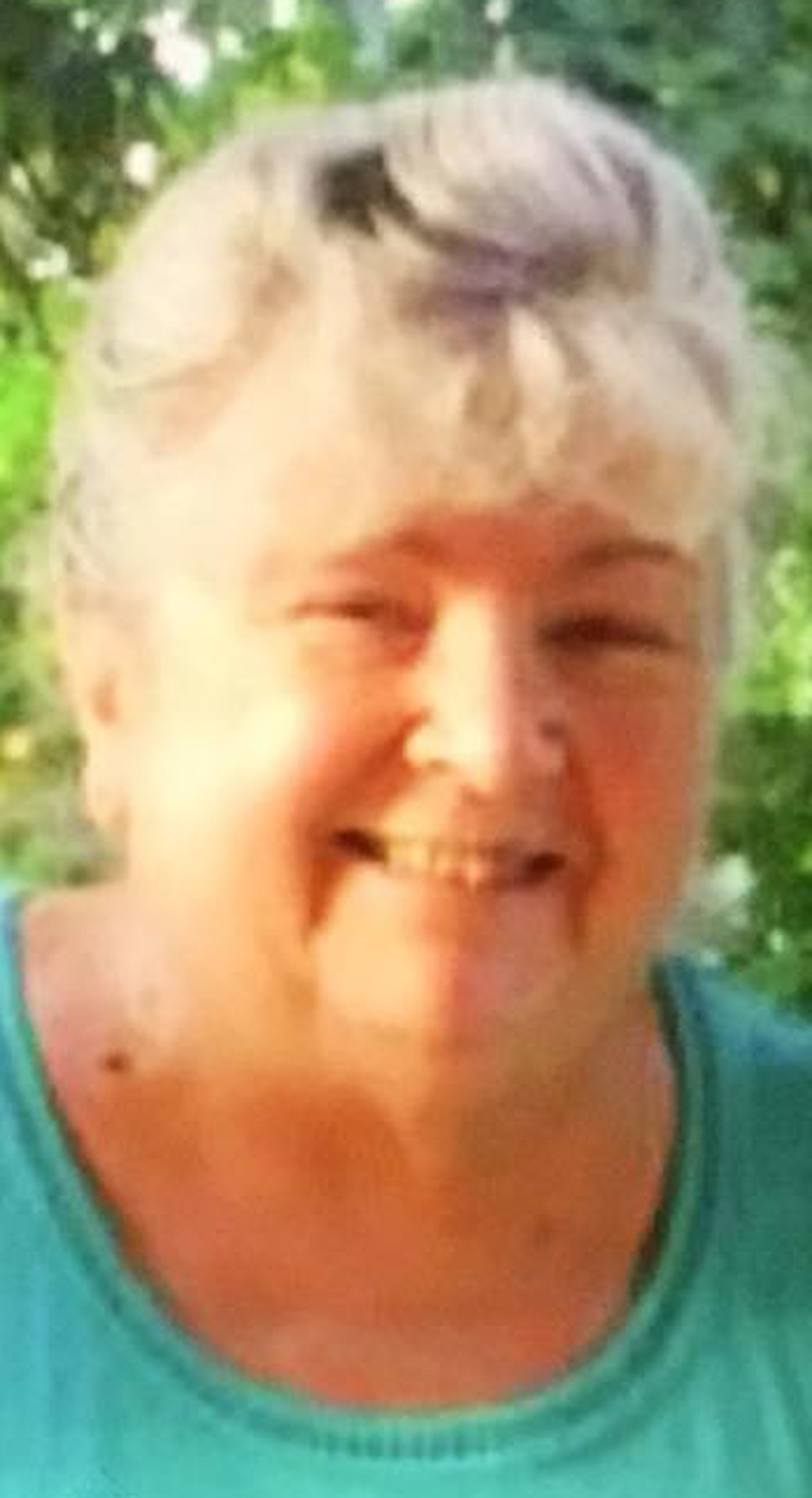 Linda L. Howard News, Sports, Jobs Observer Today