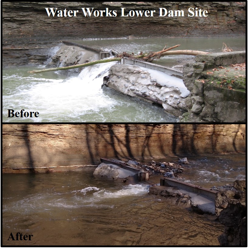 Chautauqua Creek Restoration Offers Trout Run News, Sports, Jobs