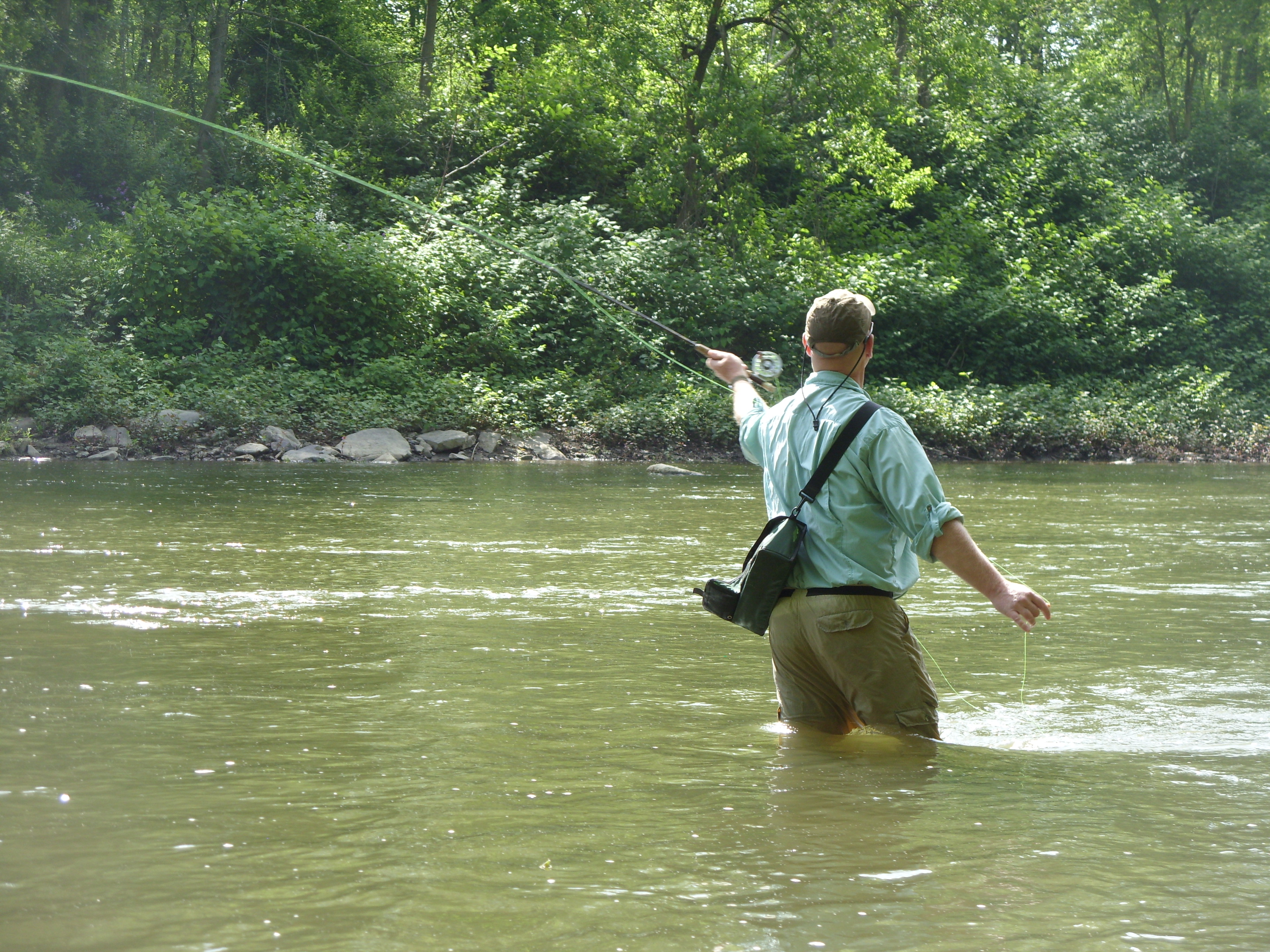 Go fish News, Sports, Jobs The Review