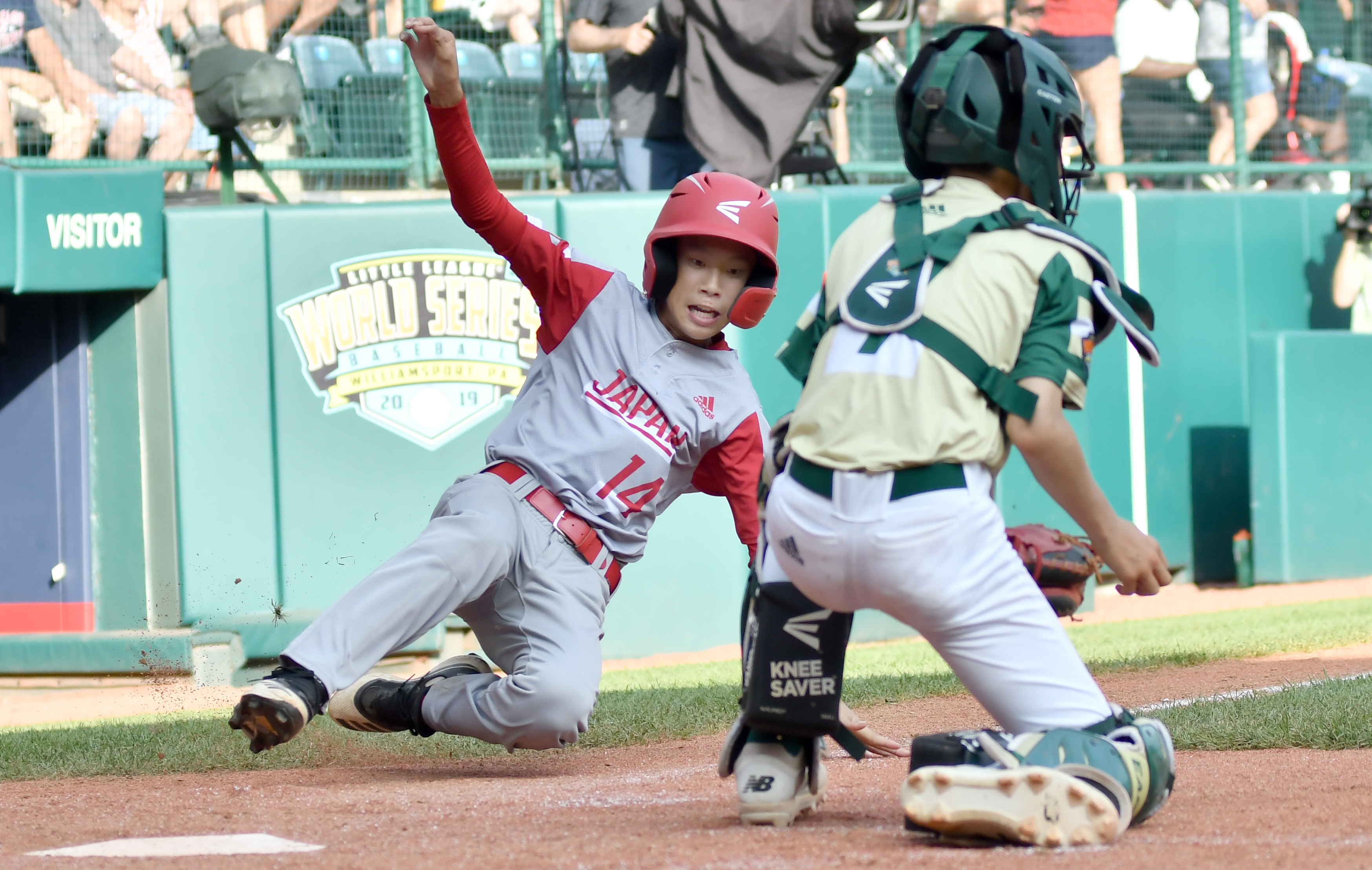 Little League Extra News, Sports, Jobs Williamsport SunGazette