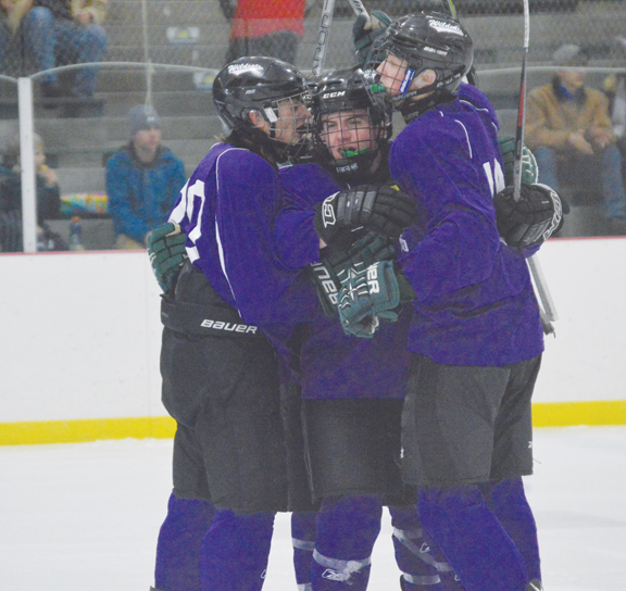 Roll Wildcats roll News, Sports, Jobs The Alpena News