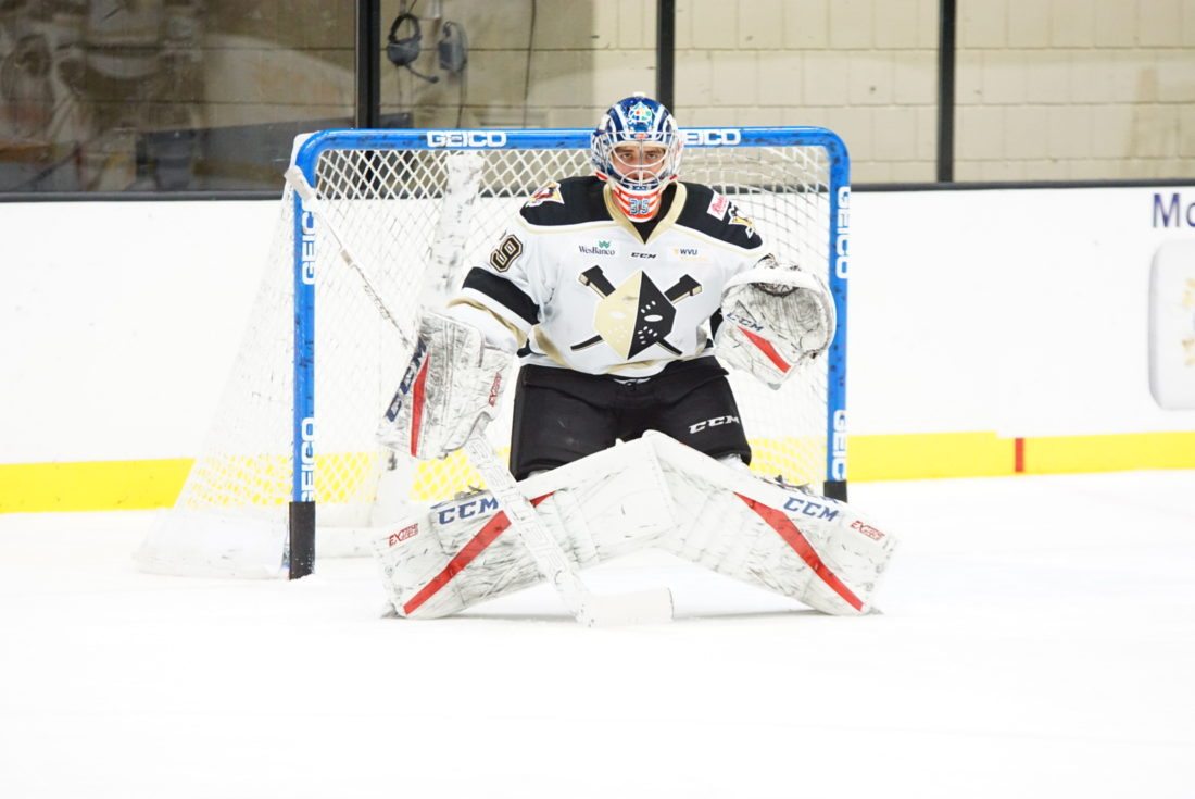 King Wins First Start for Wheeling Nailers News, Sports, Jobs The