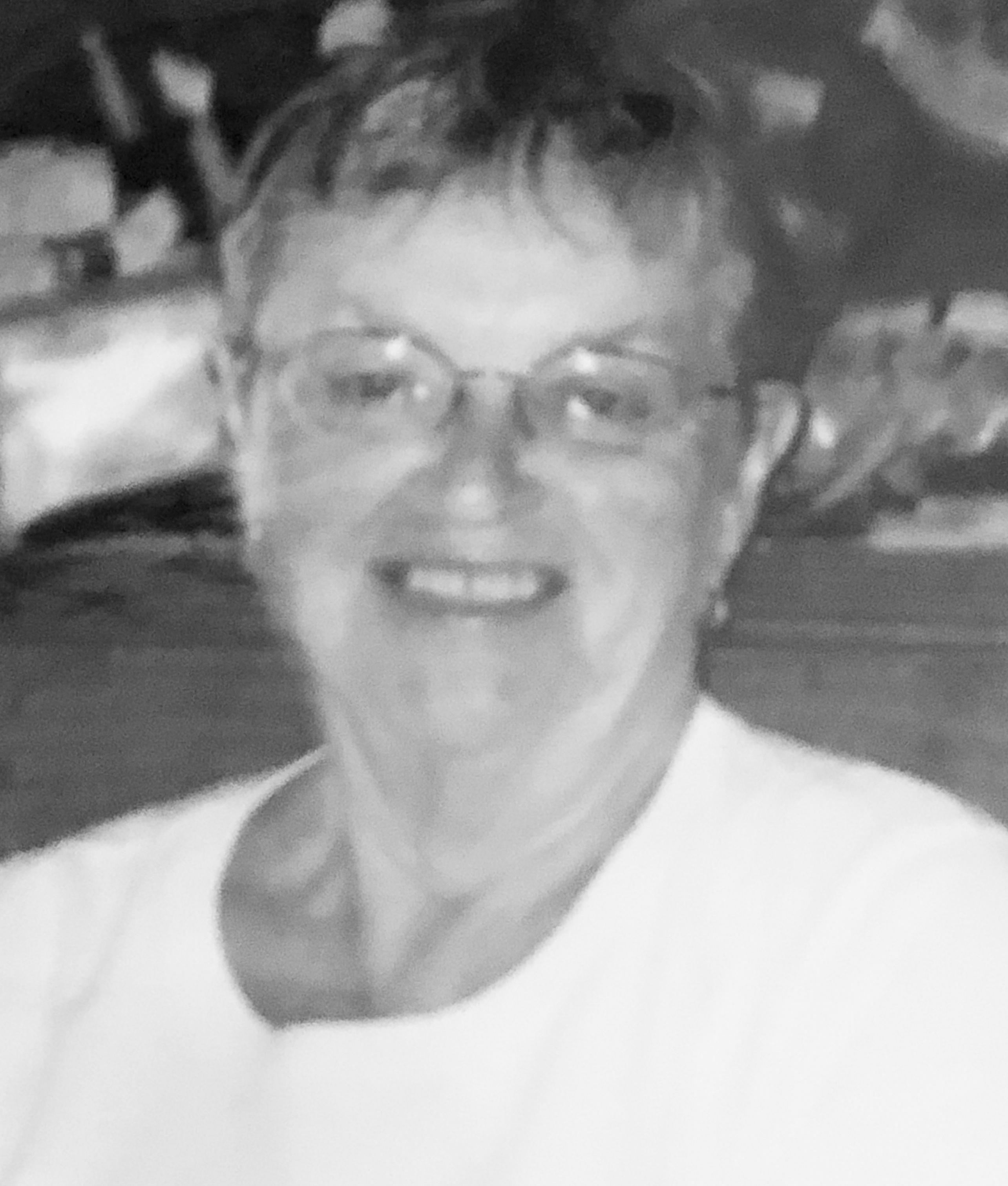 Betty smith walter havighurst essay 02 image