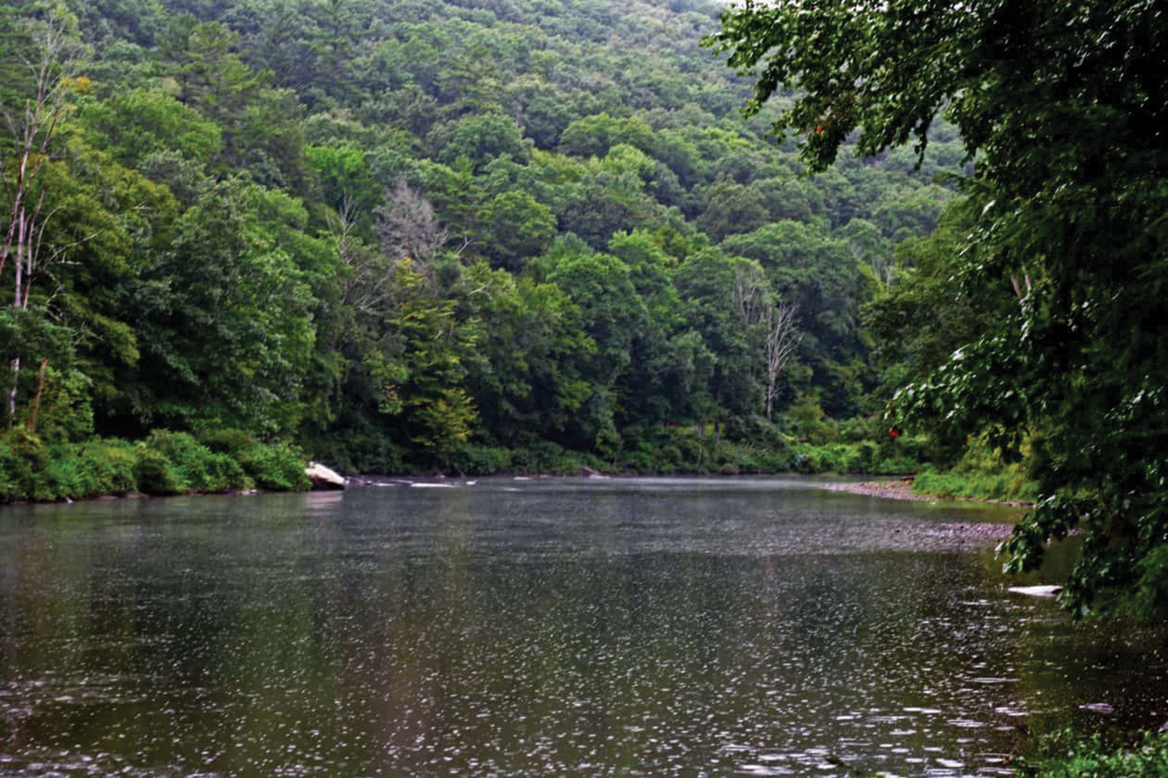 Clarion River makes River of the Year News, Sports, Jobs Times Observer
