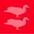 Open office hours with Bitingduck Press