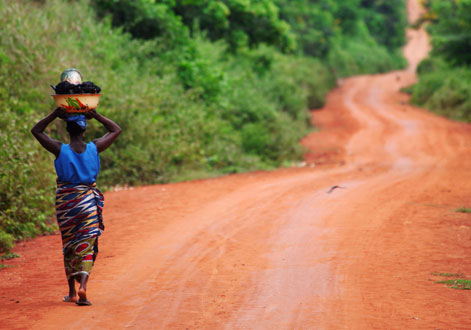 Long Road Ahead