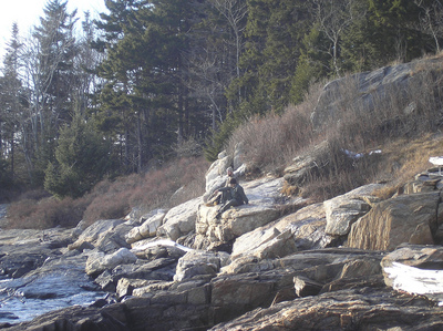 Cundy's Harbor