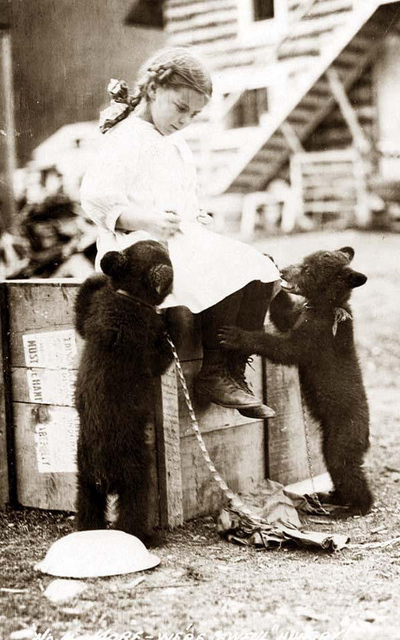 And The Bears