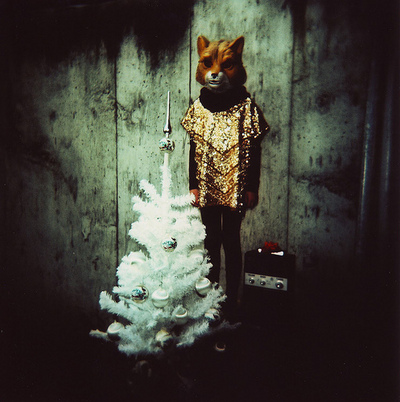 XMAS Fox