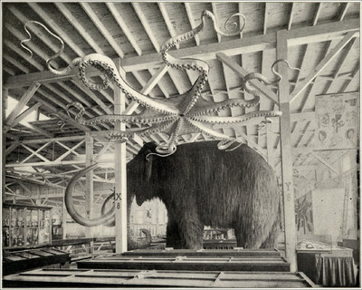 Mammoth and Octopus