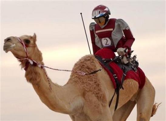 Robot Camel Jockey