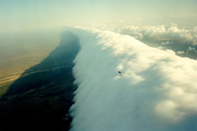 surfin' the wave cloud