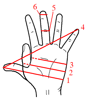 Thumbs_hand_units_of_measurement