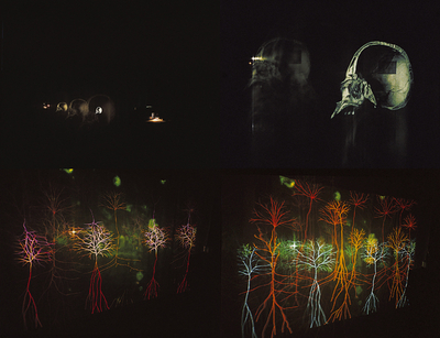 Magic Forest