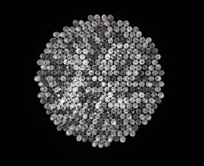 Ishihara Test in Lightbrite