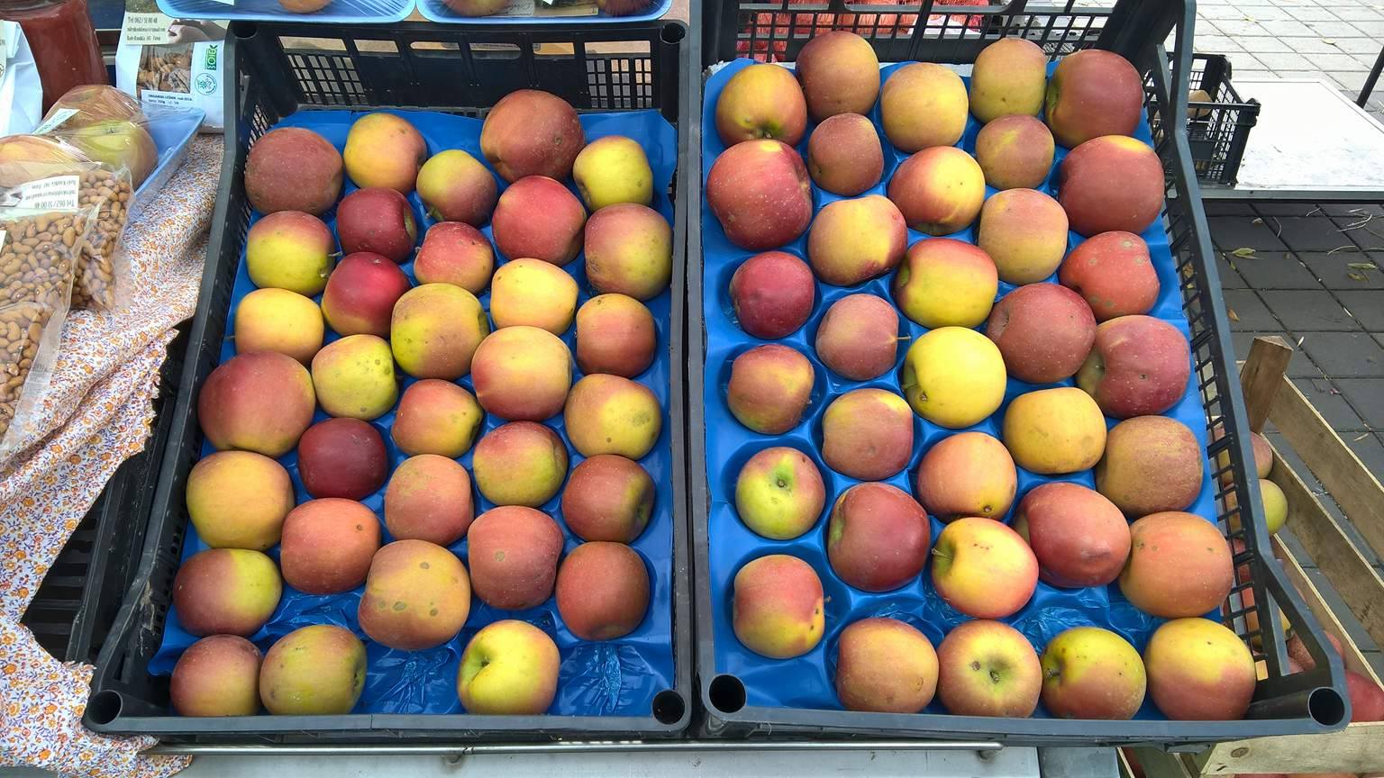 dolovac organic jabuke.jpg