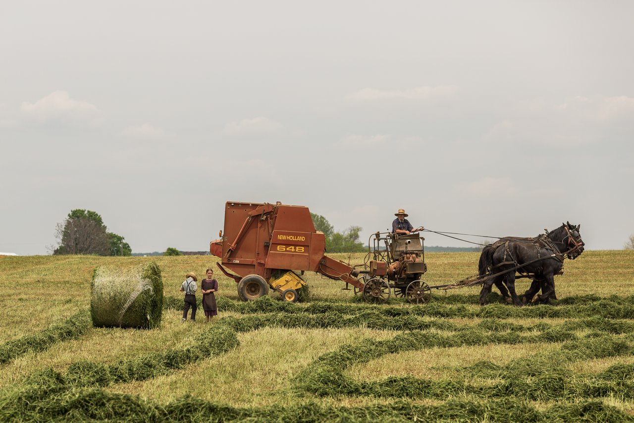 Ruralni razvoj.jpg