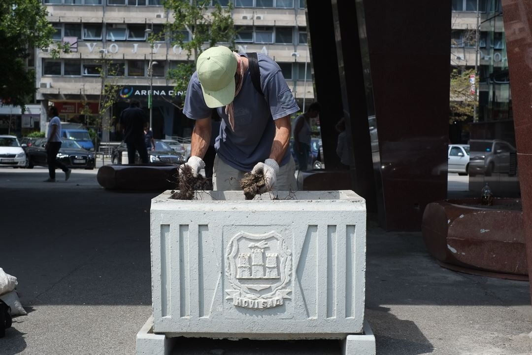 baštenska inicijativa u gradu.jpg