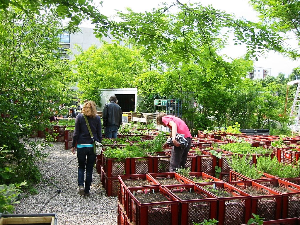 urbana bašta u Berlinu.jpg